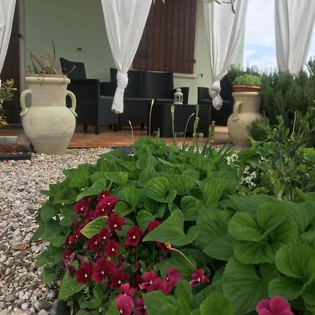 Appartamento Sofia Lazise Buitenkant foto